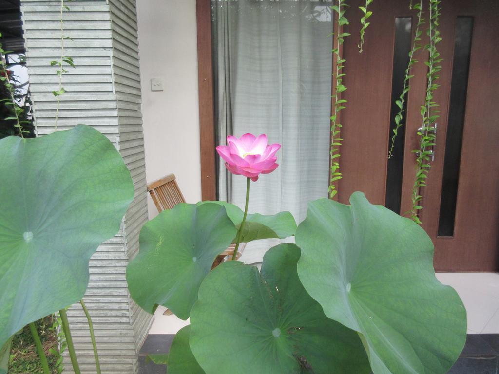Rika Sanur Homestay Zewnętrze zdjęcie